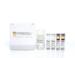 EasySep™ HLA Chimerism Buffy Coat CD56 Positive Selection Kit - STEMCELL Technologies Inc. - Life Sciences