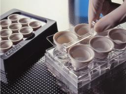 Netwell™ 12-well Carrier Kit for 15 mm Inserts, Nonsterile - Corning Life Sciences - Life Sciences