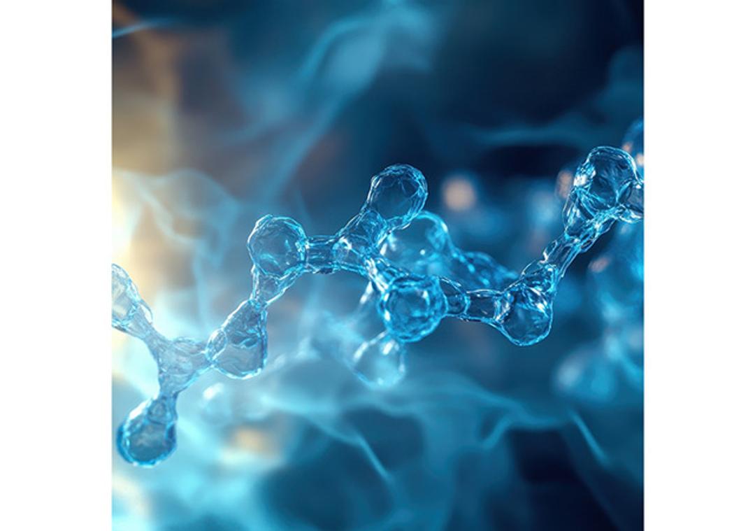Carbohydrates - Cambridge Isotope Laboratories - Life Sciences