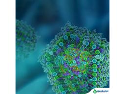 GenScript Targeted LNP: Precision Delivery for Enhanced Therapeutics - GenScript - Drug Discovery & Development