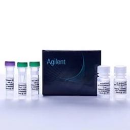 Brilliant III Ultra-Fast QRT-PCR Master Mix - Agilent Technologies - Life Sciences