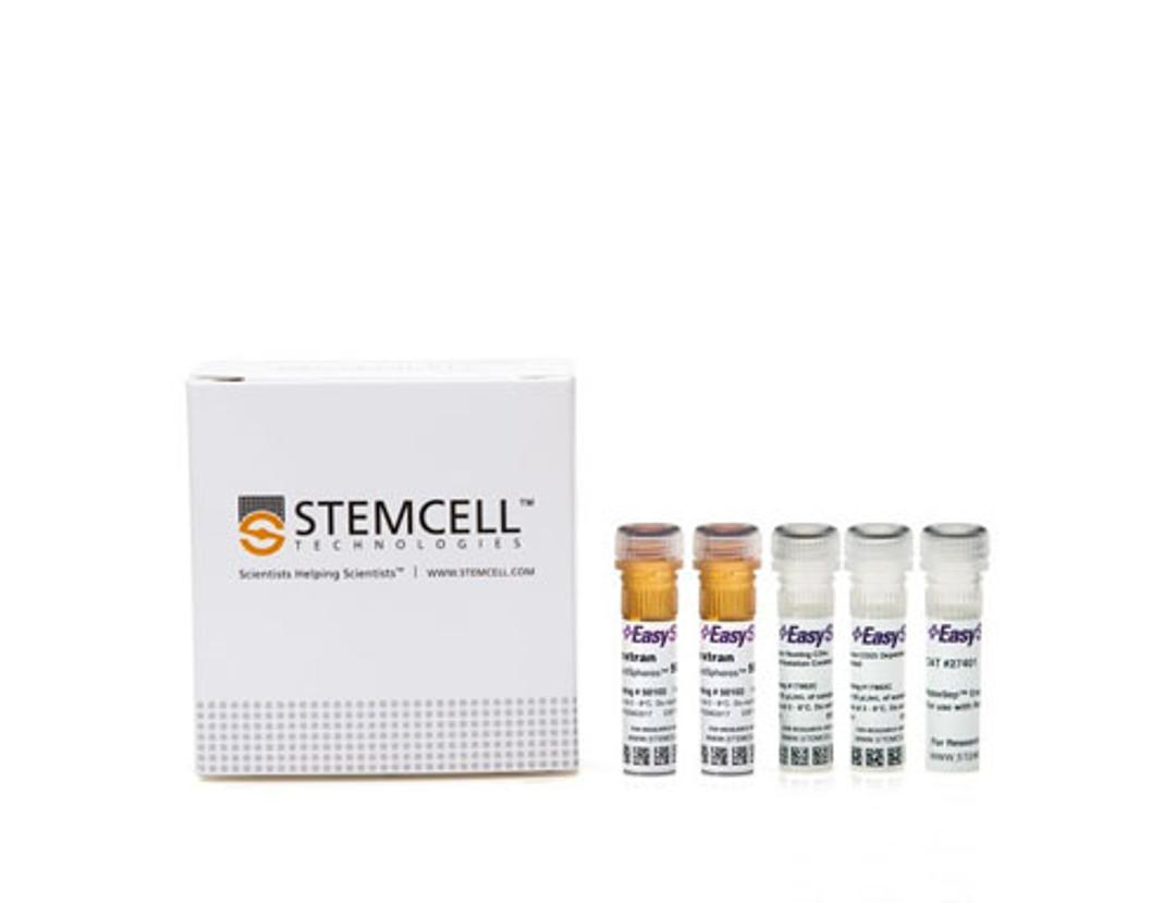 EasySep™ Human Resting CD4+ T Cell Isolation Kit - STEMCELL Technologies Inc. - Life Sciences