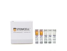 EasySep™ Human Resting CD4+ T Cell Isolation Kit - STEMCELL Technologies Inc. - Life Sciences