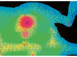 Optical Imaging Contrast Agents - NiraWave™ - Scintica - Life Sciences