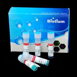 Forget-Me-Not™ EvaGreen® qPCR Master Mix (Low ROX or High ROX) - Biotium - Life Sciences