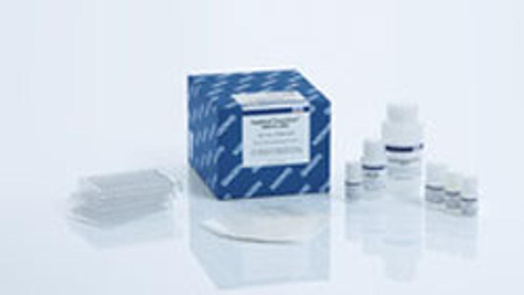 MagAttract PowerClean DNA Kit (384) - QIAGEN