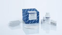 MagAttract PowerClean DNA Kit (384) - QIAGEN