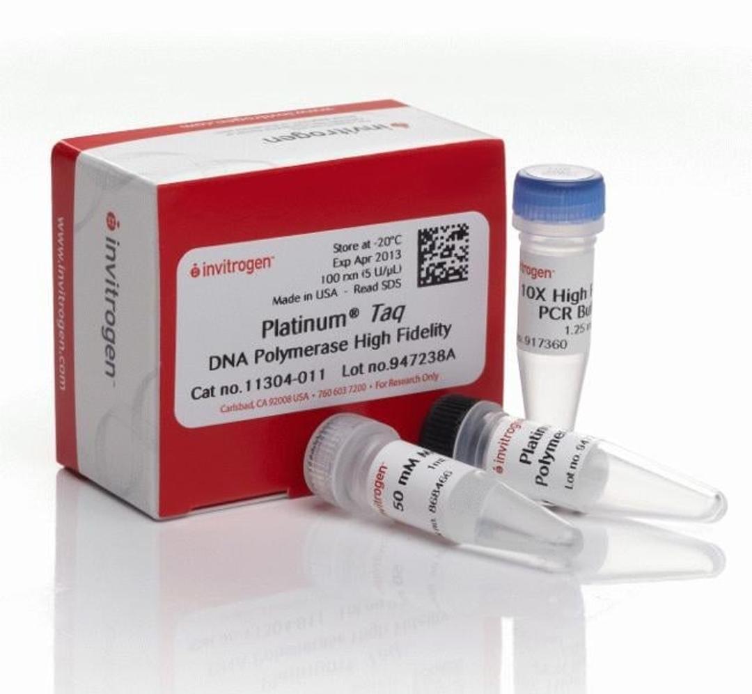 Platinum® Taq DNA Polymerase High Fidelity - Thermo Fisher Scientific - Life Sciences
