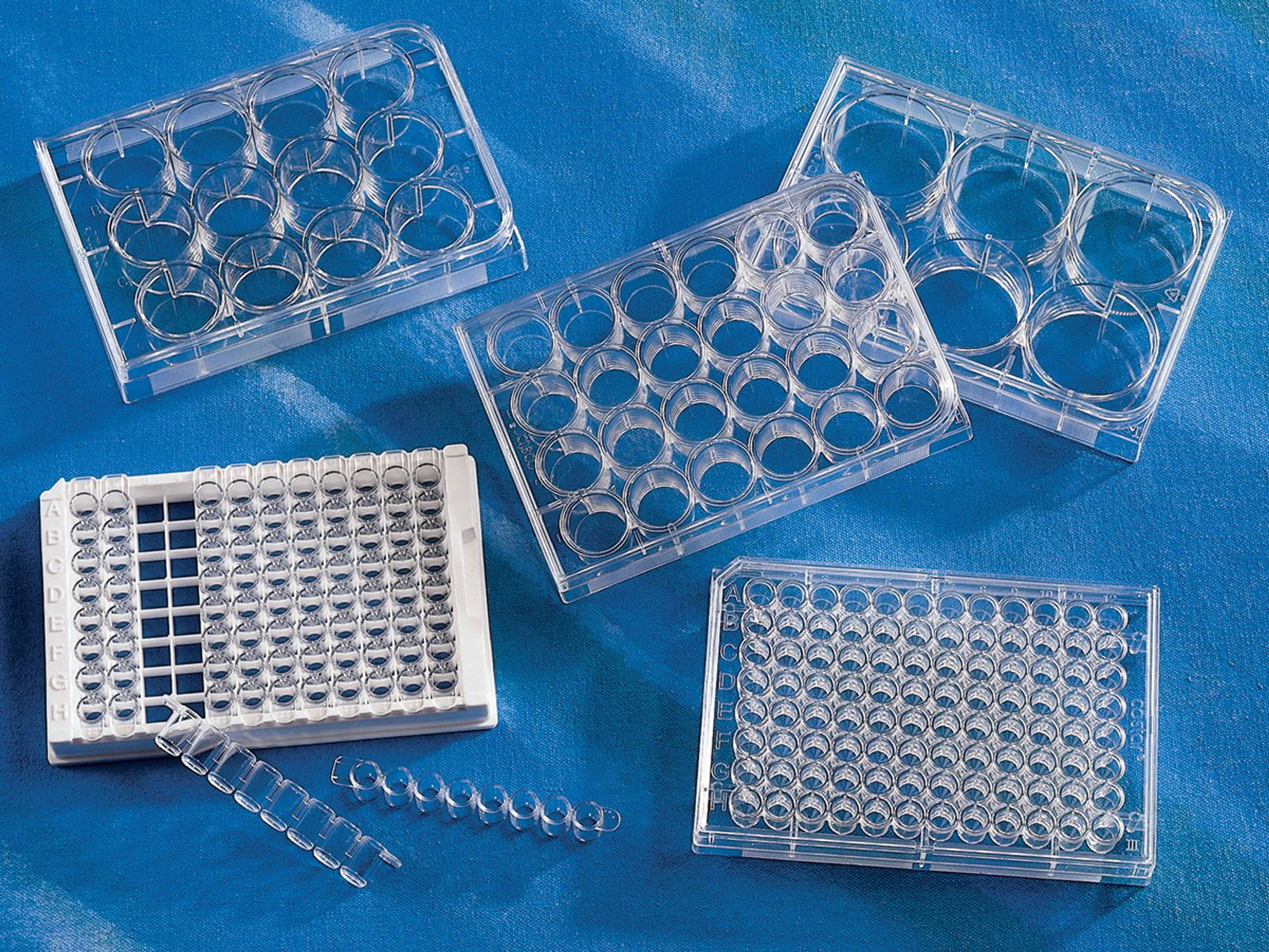 Corning® 96-well (1 x 8 Stripwell™) Clear Flat Bottom Polystyrene TC-treated Microplates, Individually Wrapped, with Lid, Sterile - Corning Life Sciences - Life Sciences
