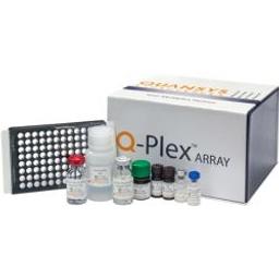 Q-Plex Human Cytokine HS (15-Plex) - Quansys Biosciences