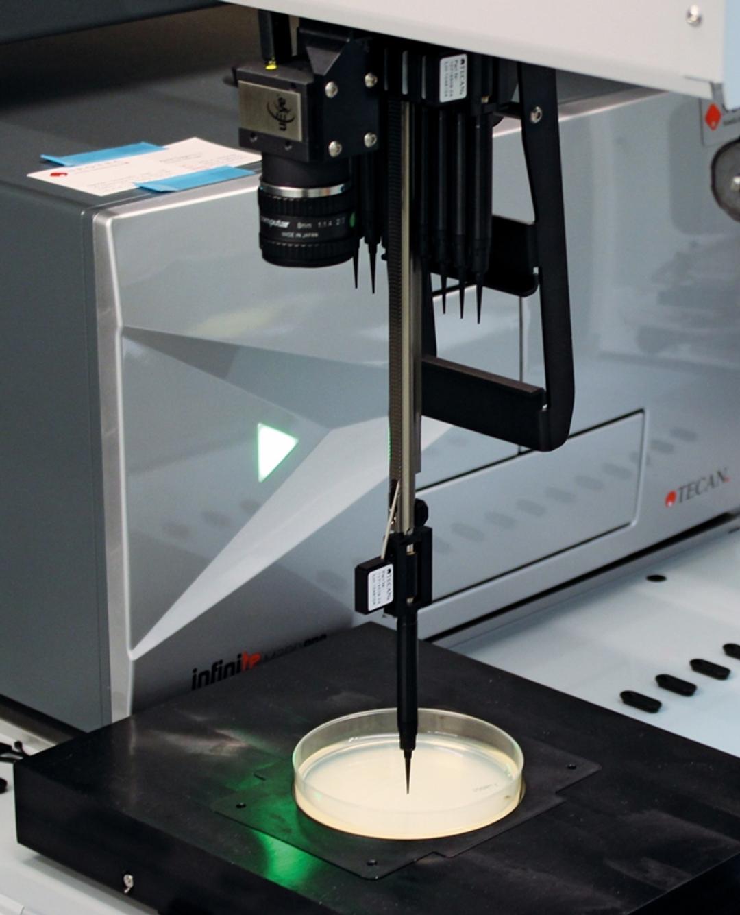 Freedom EVO® for colony picking - Tecan - Lab Automation