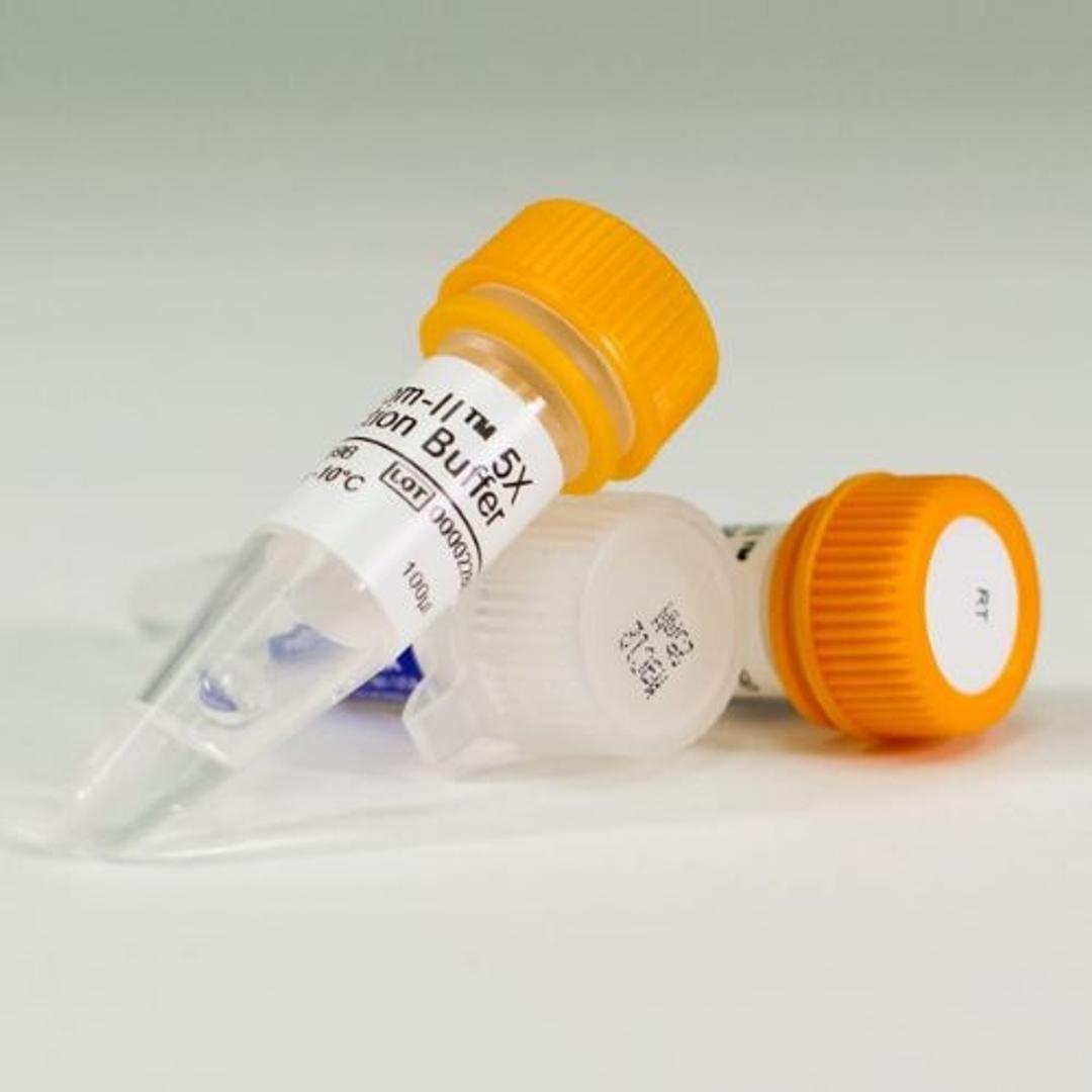 ImProm-II™ Reverse Transcriptase - Promega Corp. - Life Sciences