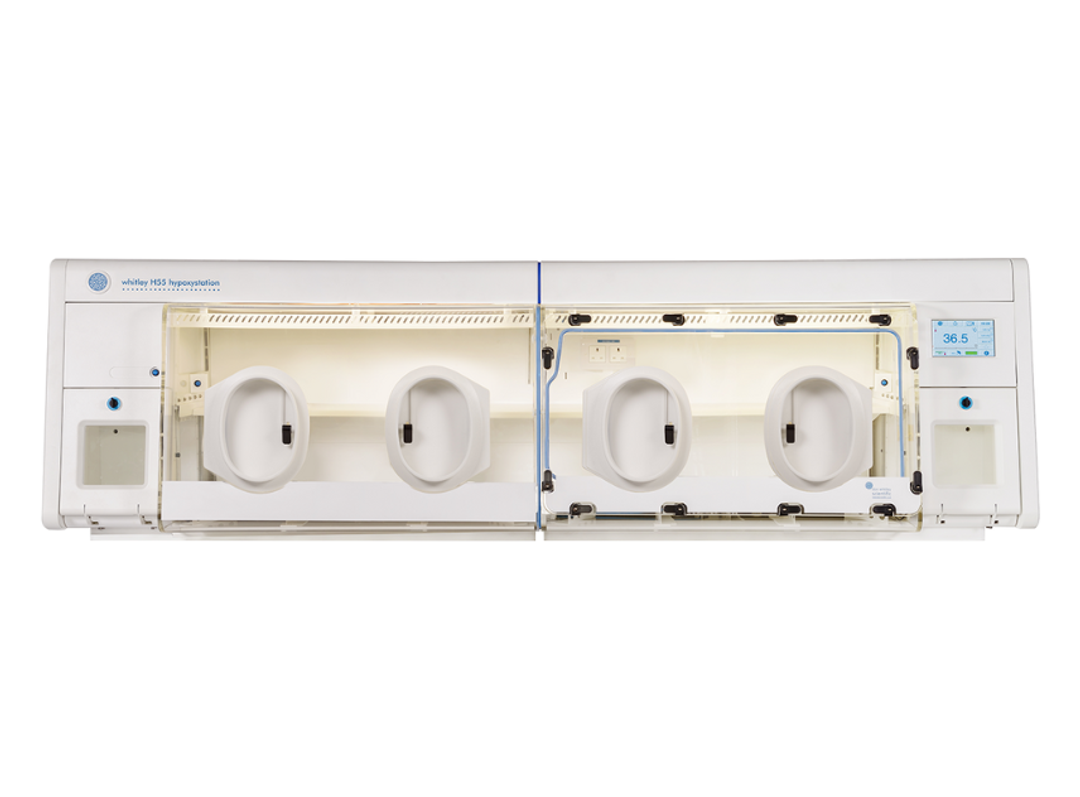 Whitley H55 Hypoxystation - Don Whitley Scientific - General Lab