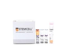 EasySep™ Mouse Naïve CD4+ T Cell Isolation Kit - STEMCELL Technologies Inc. - Life Sciences