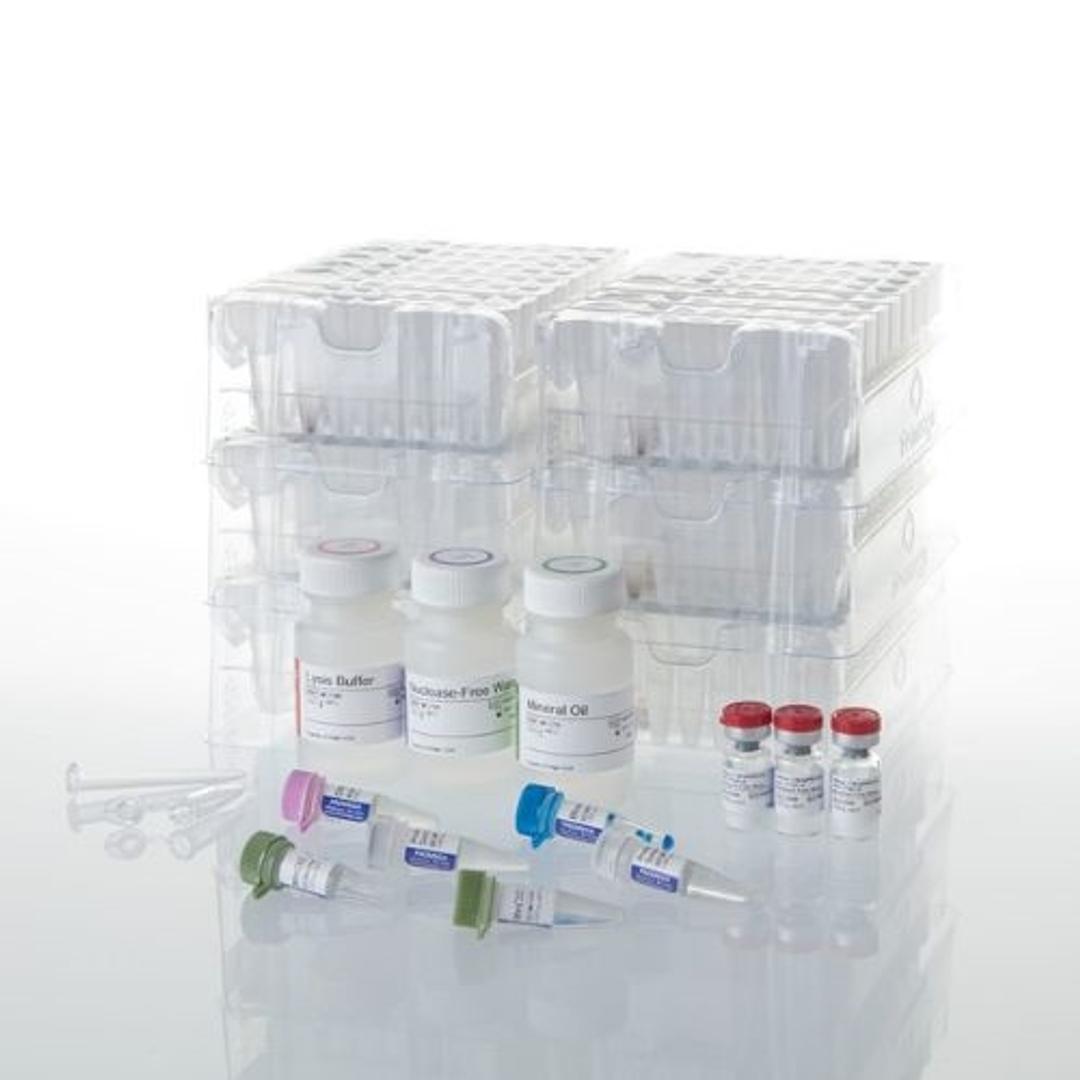 Maxwell® RSC RNA FFPE Kit - Promega Corp. - Life Sciences