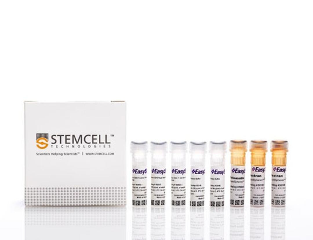 EasySep™ Human CD4+CD127lowCD25+ Regulatory T Cell Isolation Kit - STEMCELL Technologies Inc. - Life Sciences
