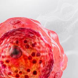 Cell Therapy Solutions - Thermo Fisher Scientific - Life Sciences