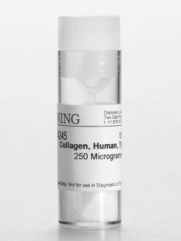 Corning® Collagen IV, Human, 0.25 mg - Corning Life Sciences - Life Sciences