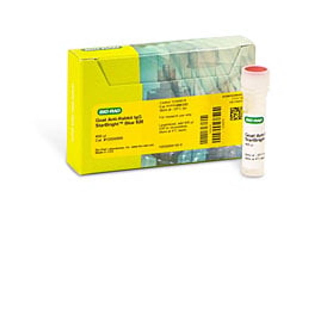 StarBright™ Blue 520 Goat Anti-Rabbit IgG, 400 µl - Bio-Rad - Life Sciences