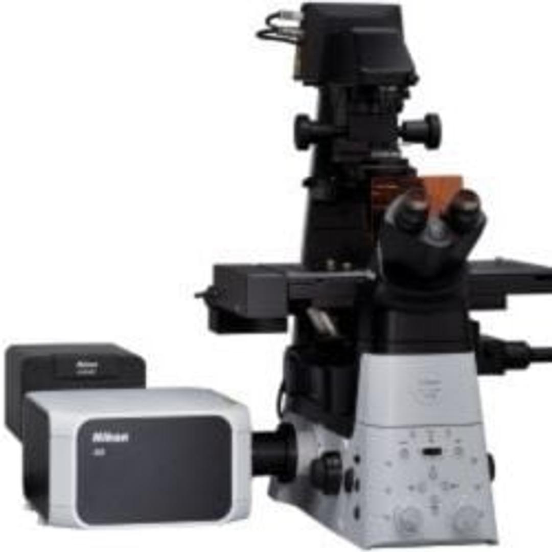 AX/ AX R NSPARC Super Resolution Confocal Microscope System - Nikon Healthcare Business – Microscope Solutions - Life Sciences