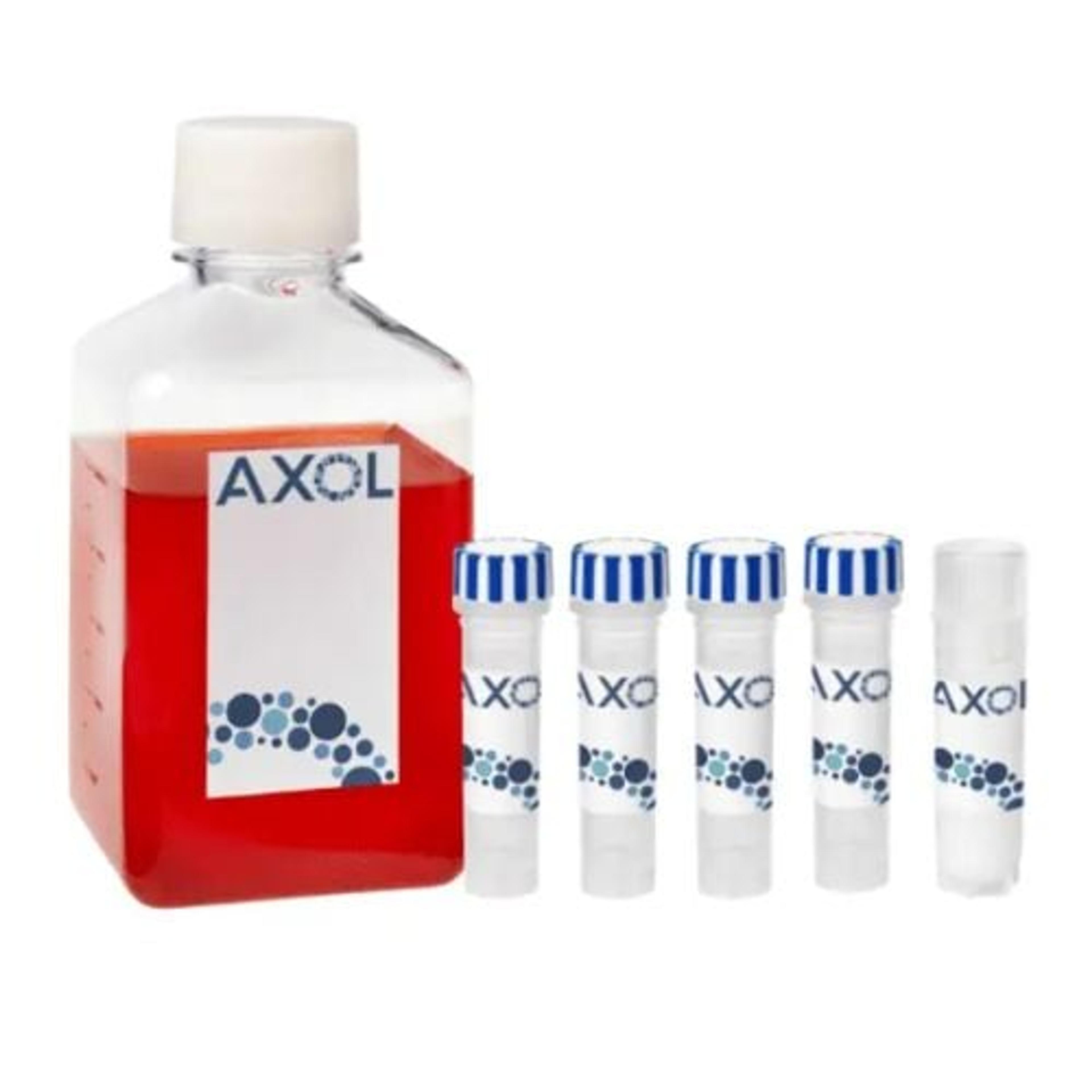axoCells™ Human iPSC-Derived Motor Neuron Cells, Media and Supplement kit, male donor, ≥2 million cells - Axol Bioscience - Life Sciences