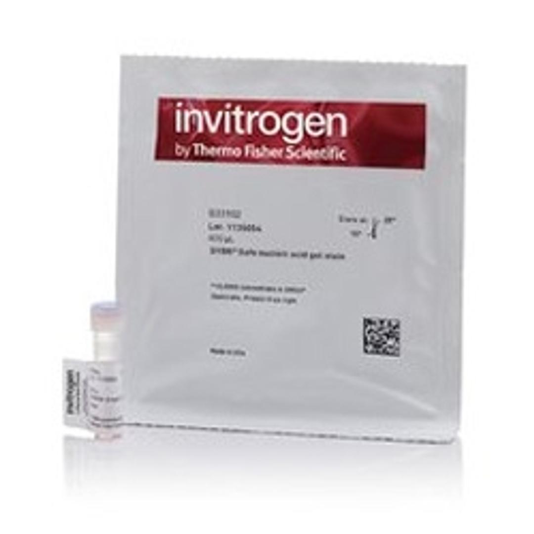 SYBR™ Safe DNA Gel Stain - Thermo Fisher Scientific