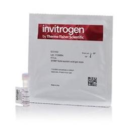 SYBR™ Safe DNA Gel Stain - Thermo Fisher Scientific