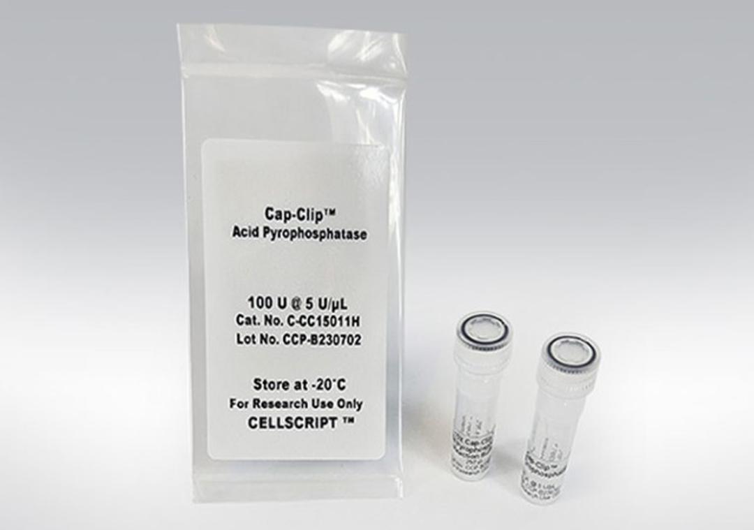 Cap-Clip™ Acid Pyrophosphatase - CELLSCRIPT™ - Life Sciences