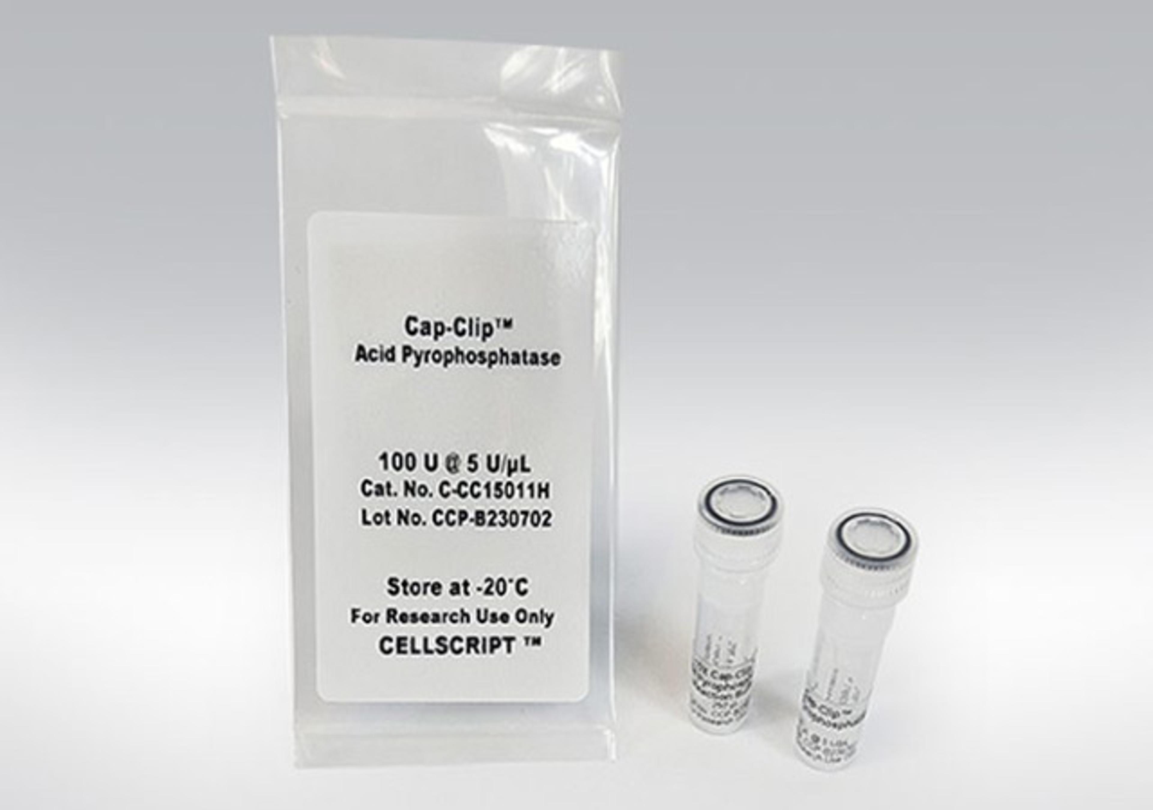 Cap-Clip™ Acid Pyrophosphatase - CELLSCRIPT™ - Life Sciences