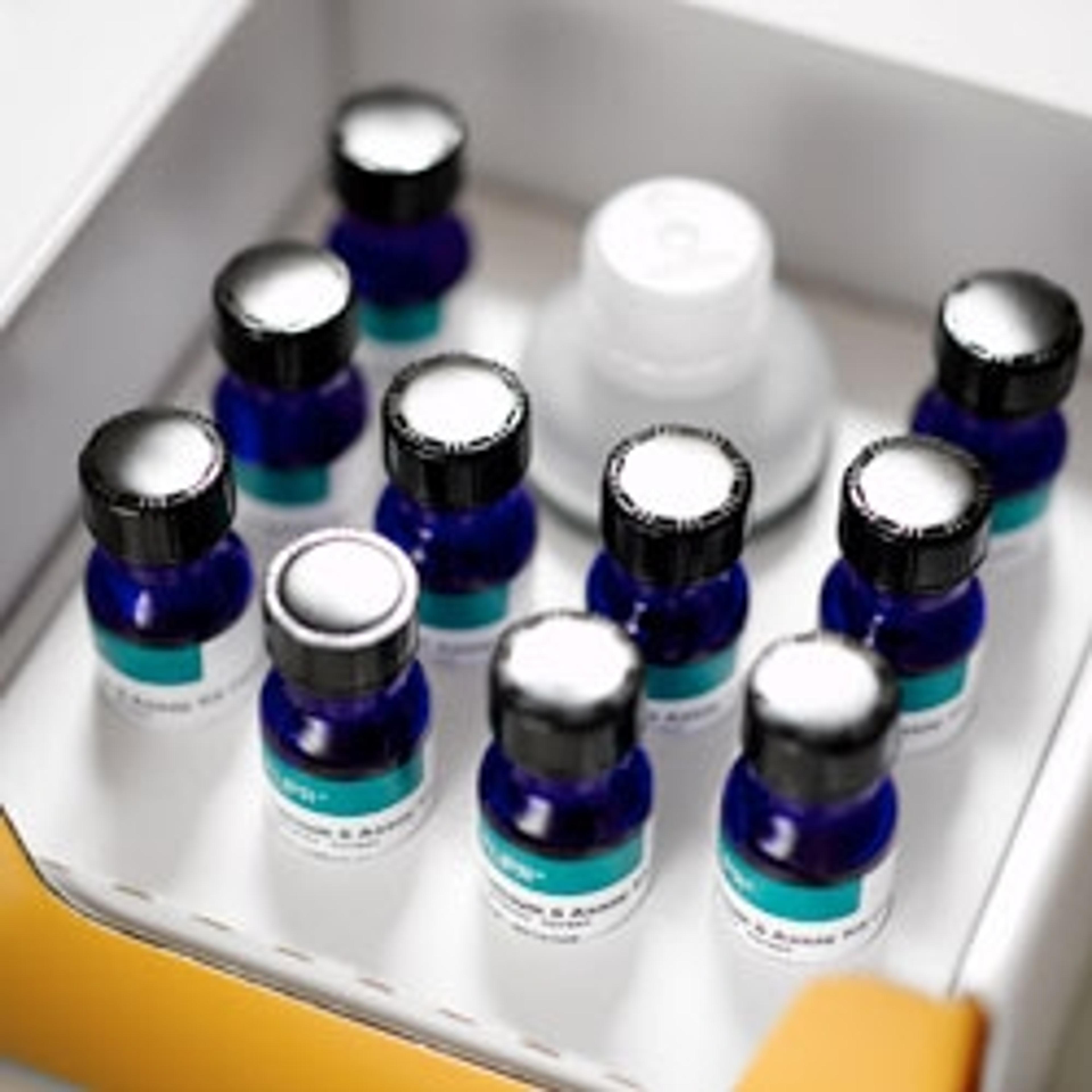 ScanLater Western Blot Assay Kit - Molecular Devices® - Life Sciences