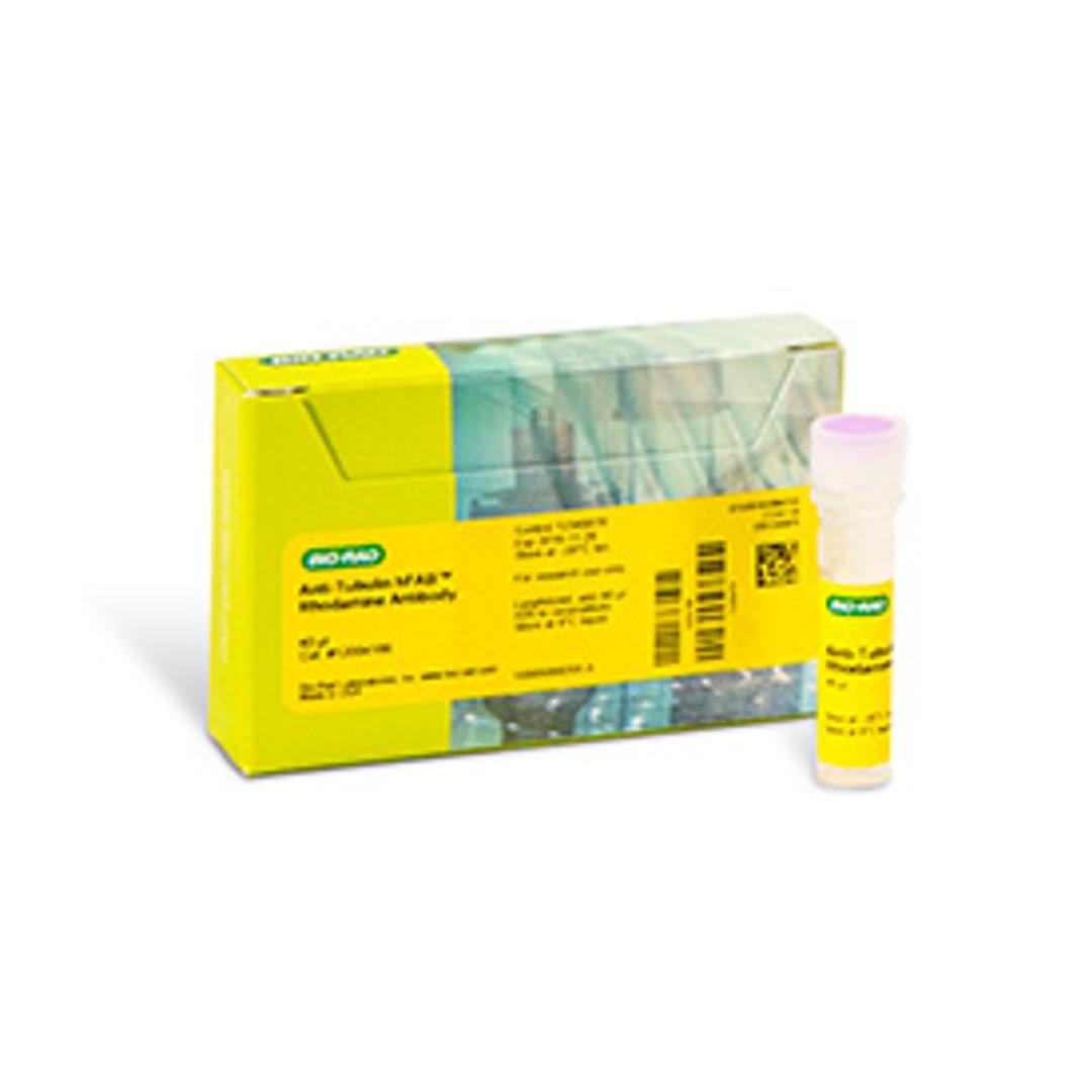 hFAB™ Rhodamine Anti-Tubulin Primary Antibody 40 µl - Bio-Rad - Life Sciences