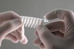 Thermo Scientific EasyStrips - Attached Cap Strip Tubes - Thermo Fisher Scientific - Life Sciences