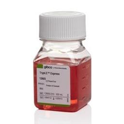 TrypLE Reagents - Thermo Fisher Scientific - Life Sciences