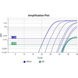 Monkeypox Virus 1-Step High Throughput PCR Kit - RayBiotech Inc. - Life Sciences