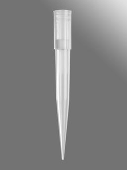 Axygen® 1000 µL Universal Fit Filter Tips, Clear, Sterile, Rack Pack, 100 Tips/Rack, 10 Racks/Pack, 5 Packs/Case - Corning Life Sciences - General Lab