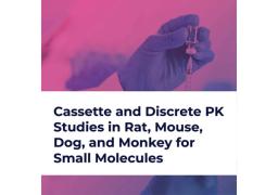Cassette and Discrete PK Studies in Rat, Mouse, Dog, and Monkey for Small Molecules  