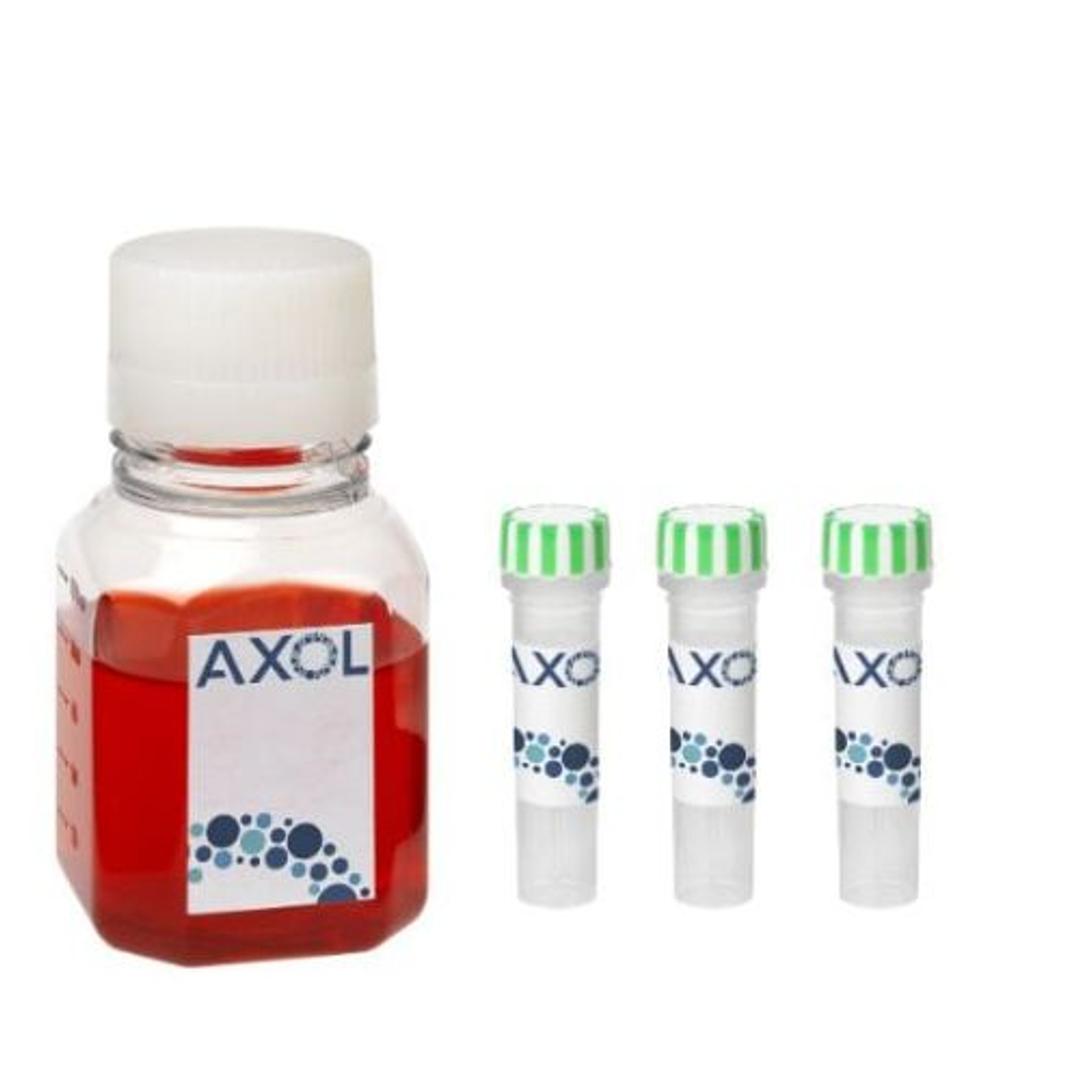 axoCells™ Human iPSC-Derived Microglia, male donor, ≥1 million cells - Axol Bioscience - Life Sciences