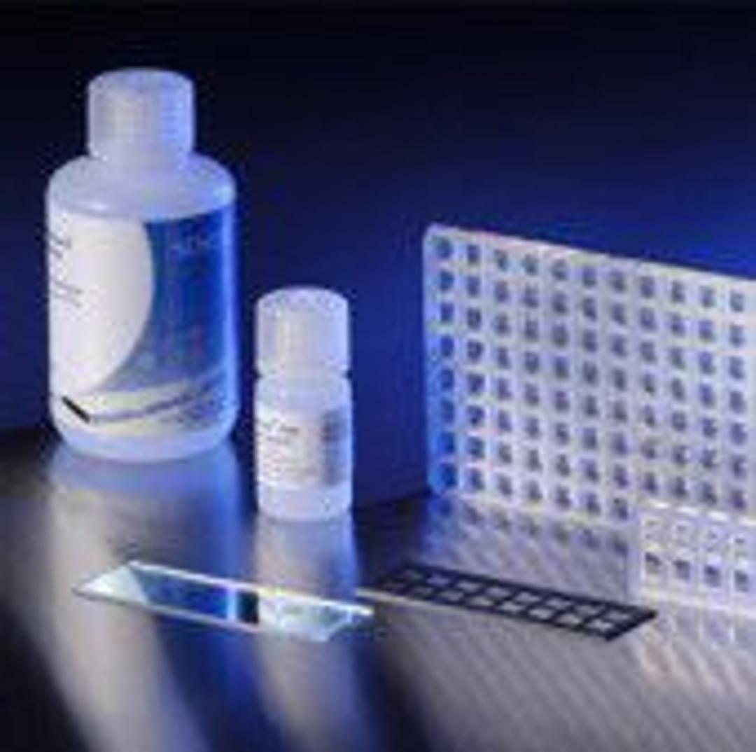 Nexterion® MPX-4 tray - SCHOTT Technical Glass Solutions GmbH - Drug discovery > Target Discovery