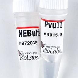 PvuII - New England Biolabs Inc. - Life Sciences