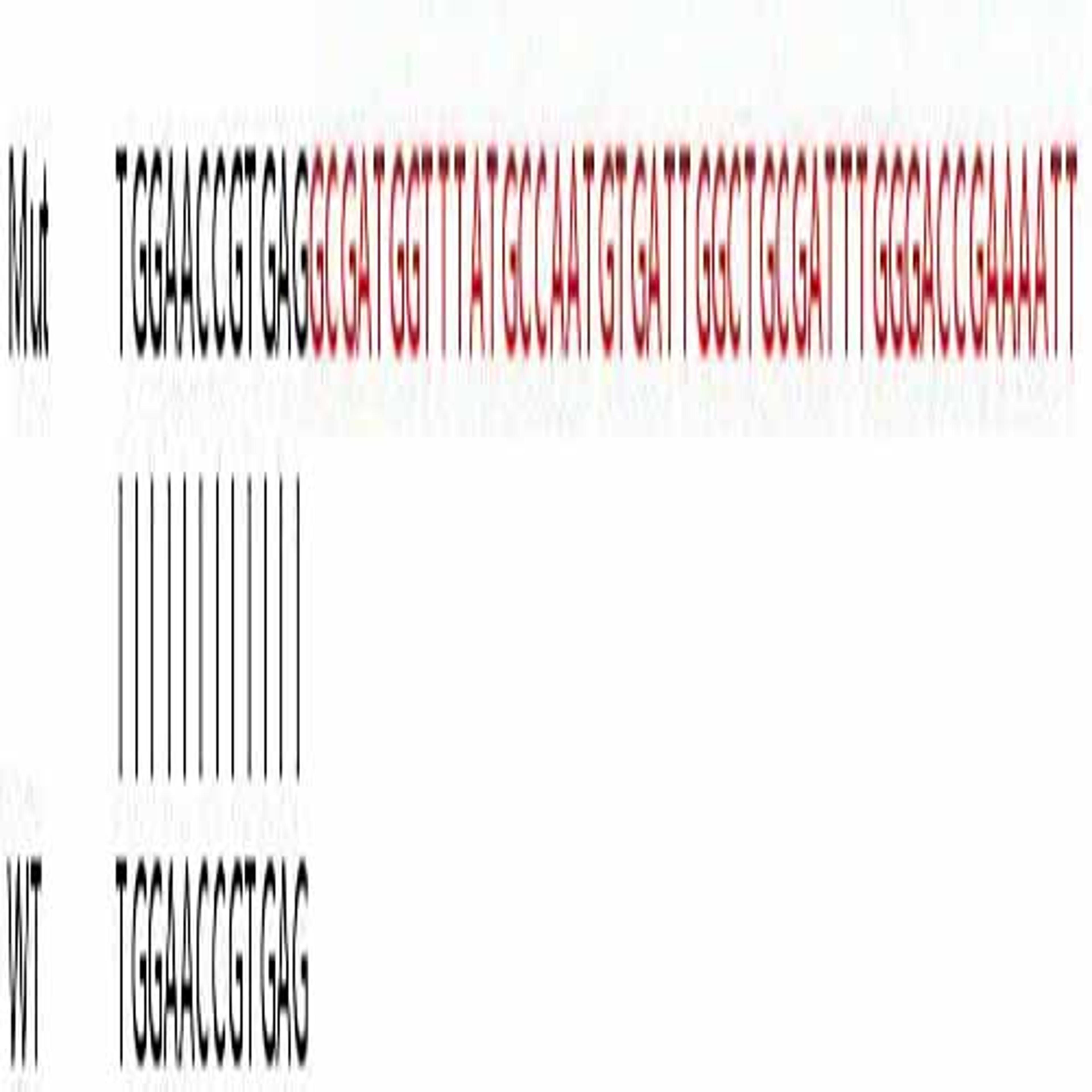 Human NDUFA13 (GRIM19) knockout HeLa cell line - Abcam plc - Life Sciences