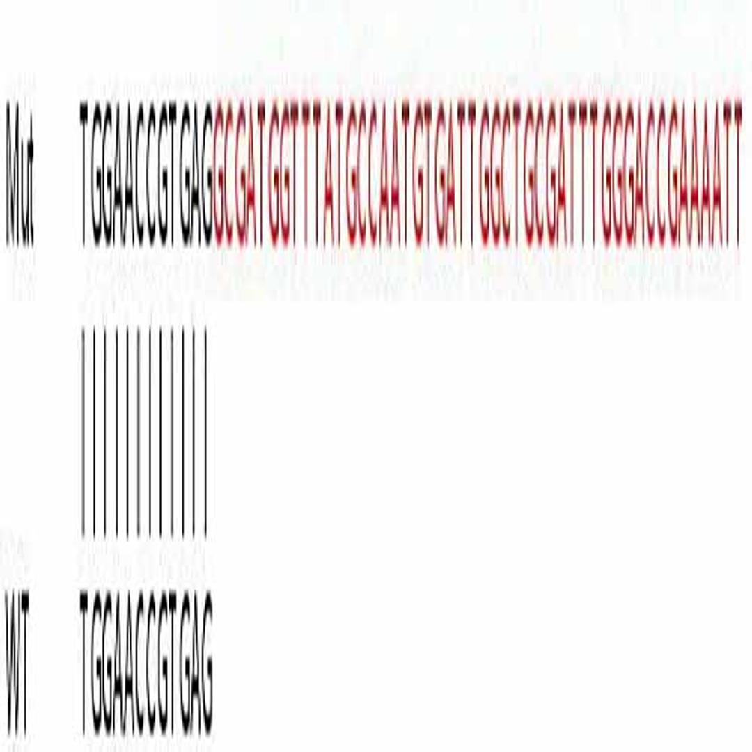 Human NDUFA13 (GRIM19) knockout HeLa cell line - Abcam plc - Life Sciences