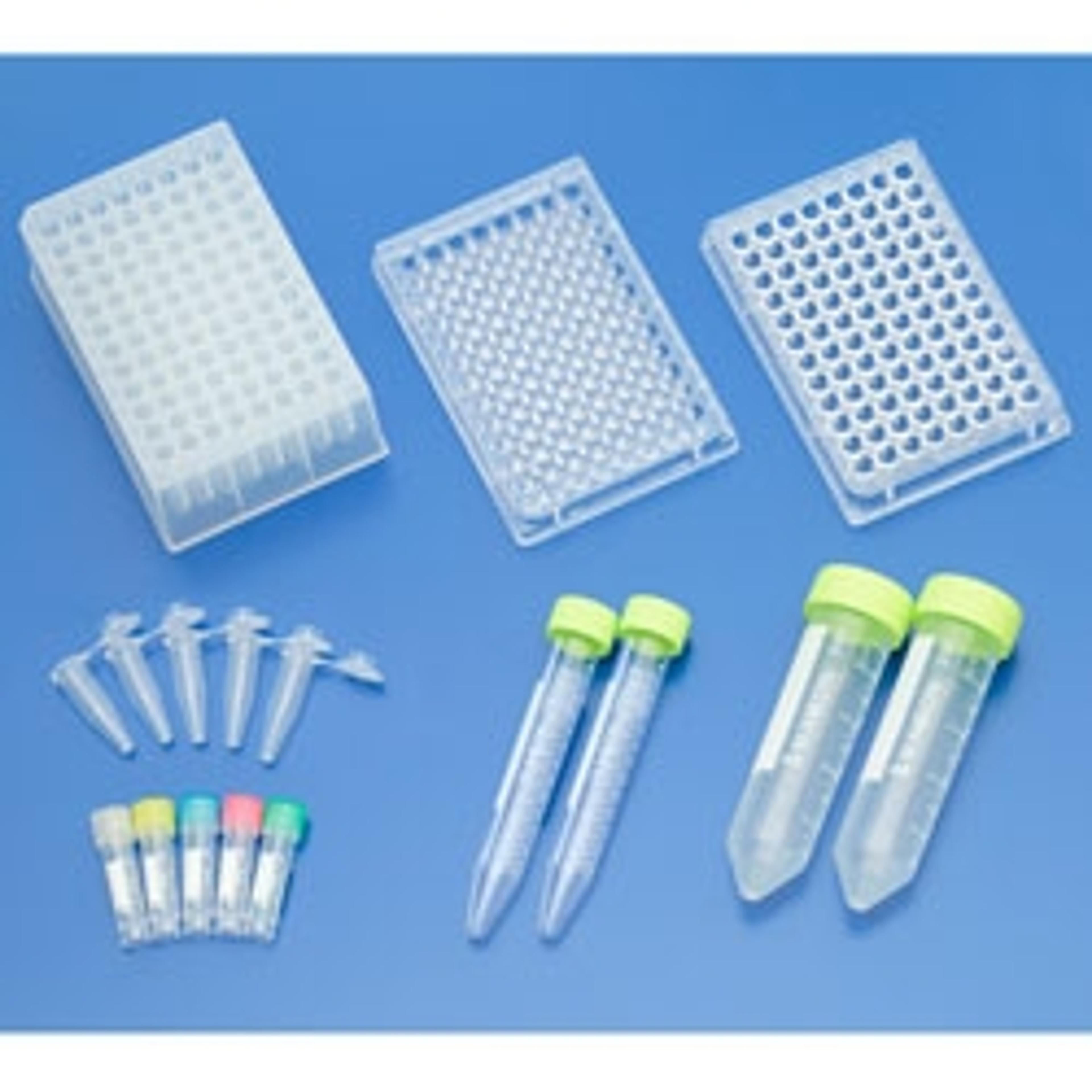 ProteoSaveâ„¢ Low Bind 50mL Centrifuge Tube (mat.=PP), sterilized - S-Bio - General Lab