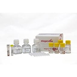 MagMeDIP qPCR Kit - Diagenode - Life Sciences