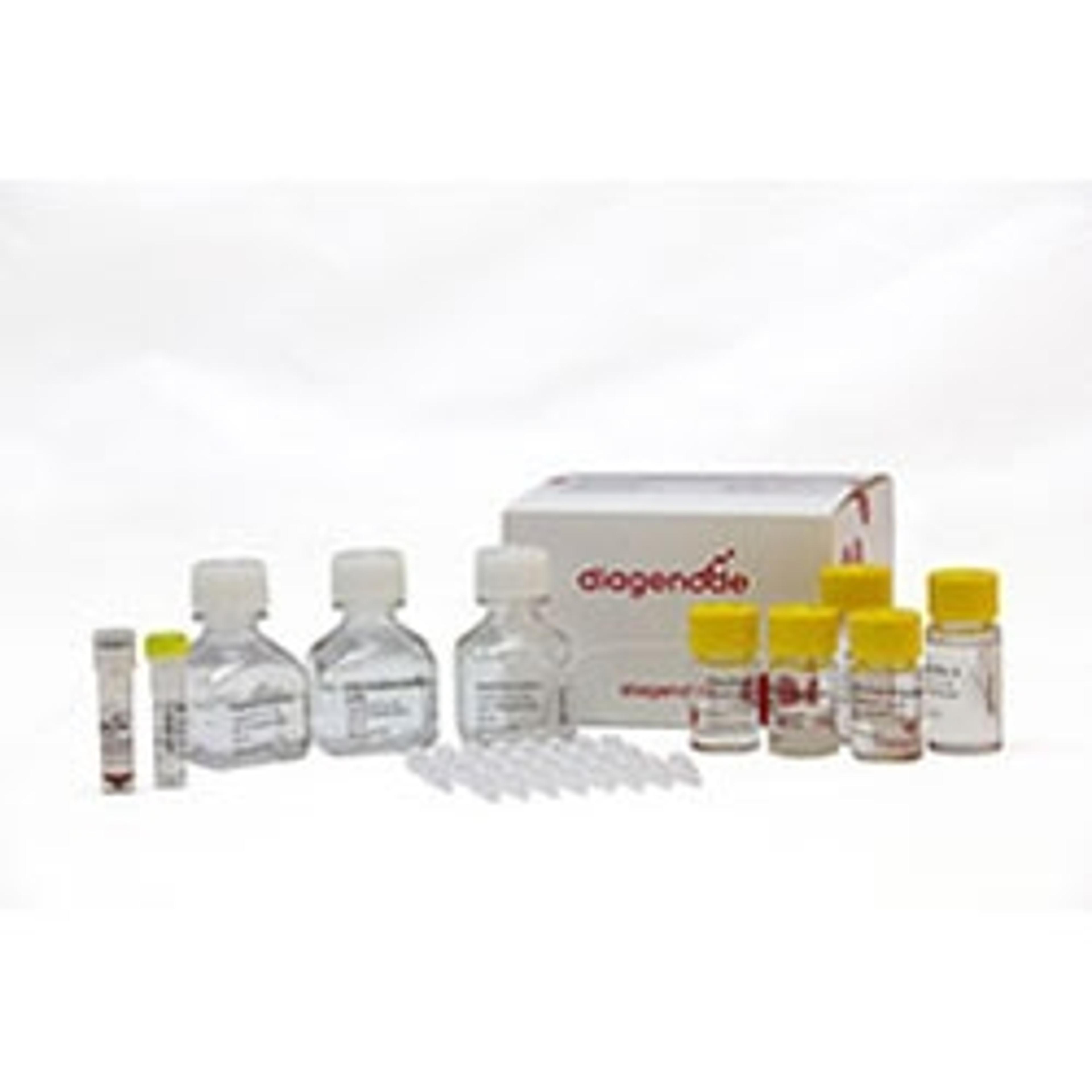 MagMeDIP qPCR Kit - Diagenode - Life Sciences