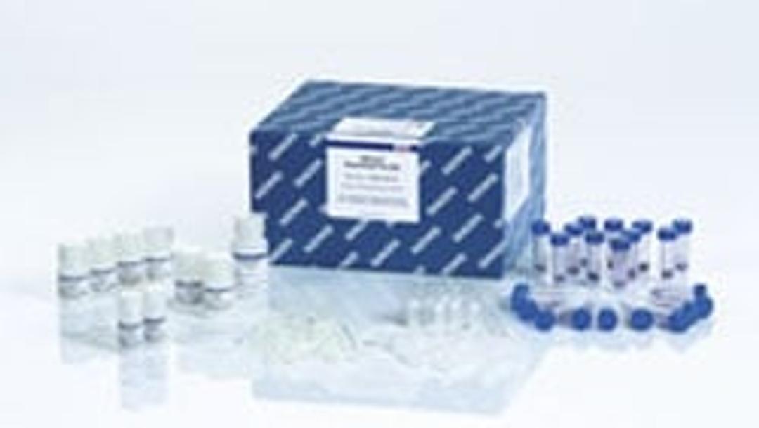 DNeasy PowerWater Kit (50) - QIAGEN