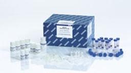 DNeasy PowerWater Kit (50) - QIAGEN
