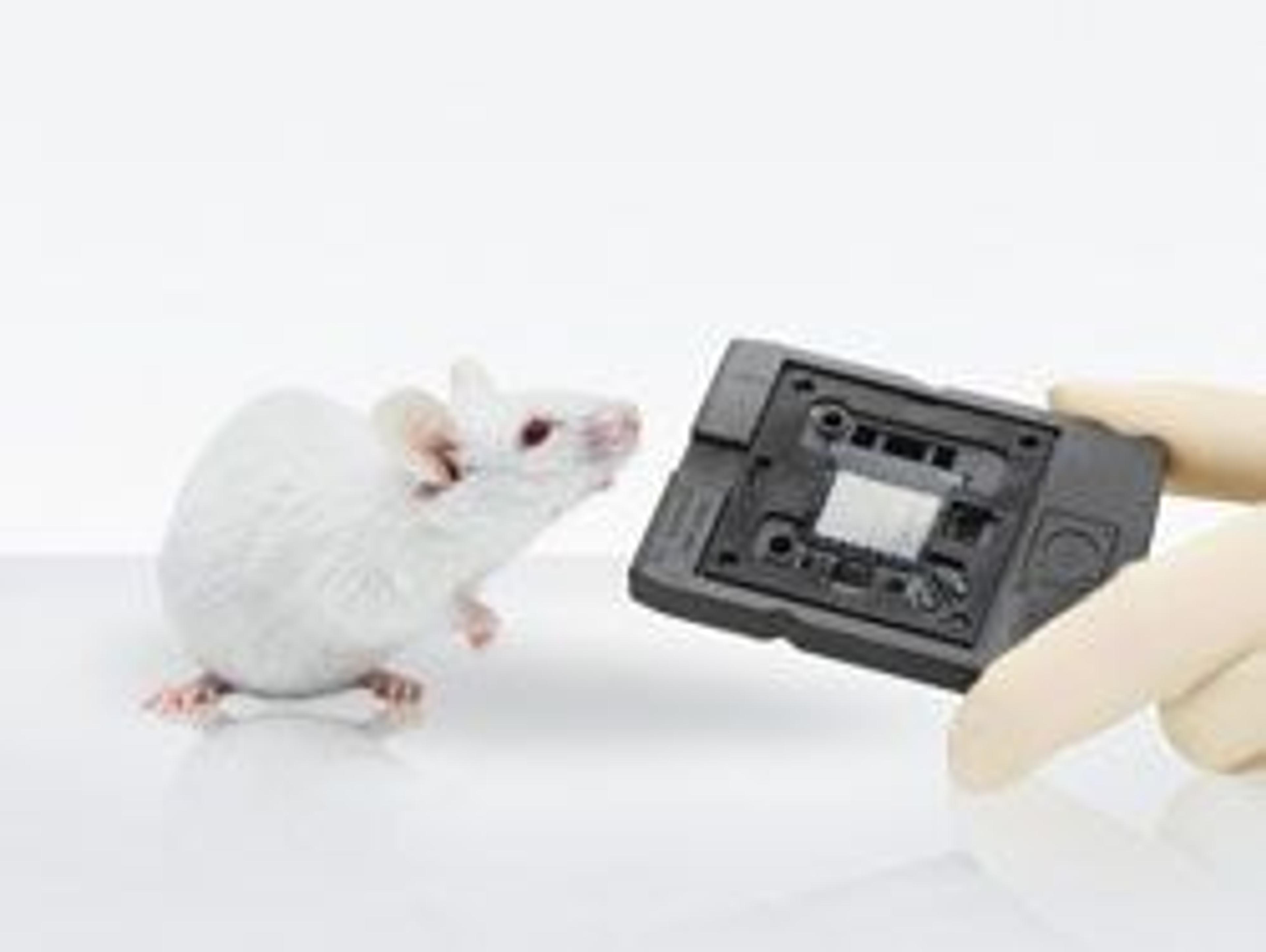 Mouse Geniom Biochip - febit holding GmbH - Life Sciences