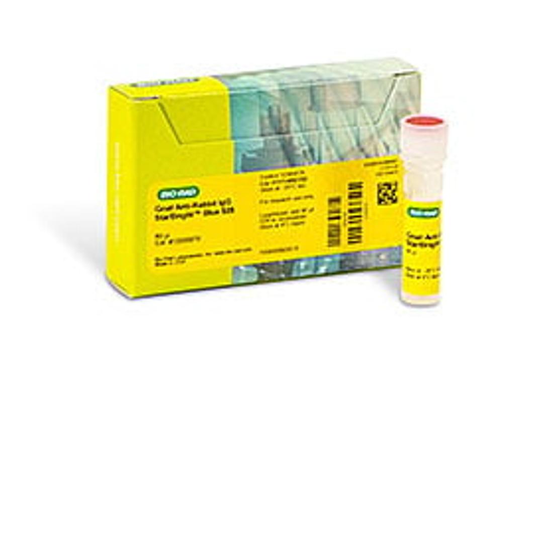 StarBright™ Blue 520 Goat Anti-Rabbit IgG, 80 µl - Bio-Rad - Life Sciences