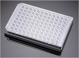 Corning® BioCoat™ Angiogenesis System: Endothelial Cell Tube Formation, 96-well Black Multiwell Microplate, 1/Case - Corning Life Sciences - Life Sciences