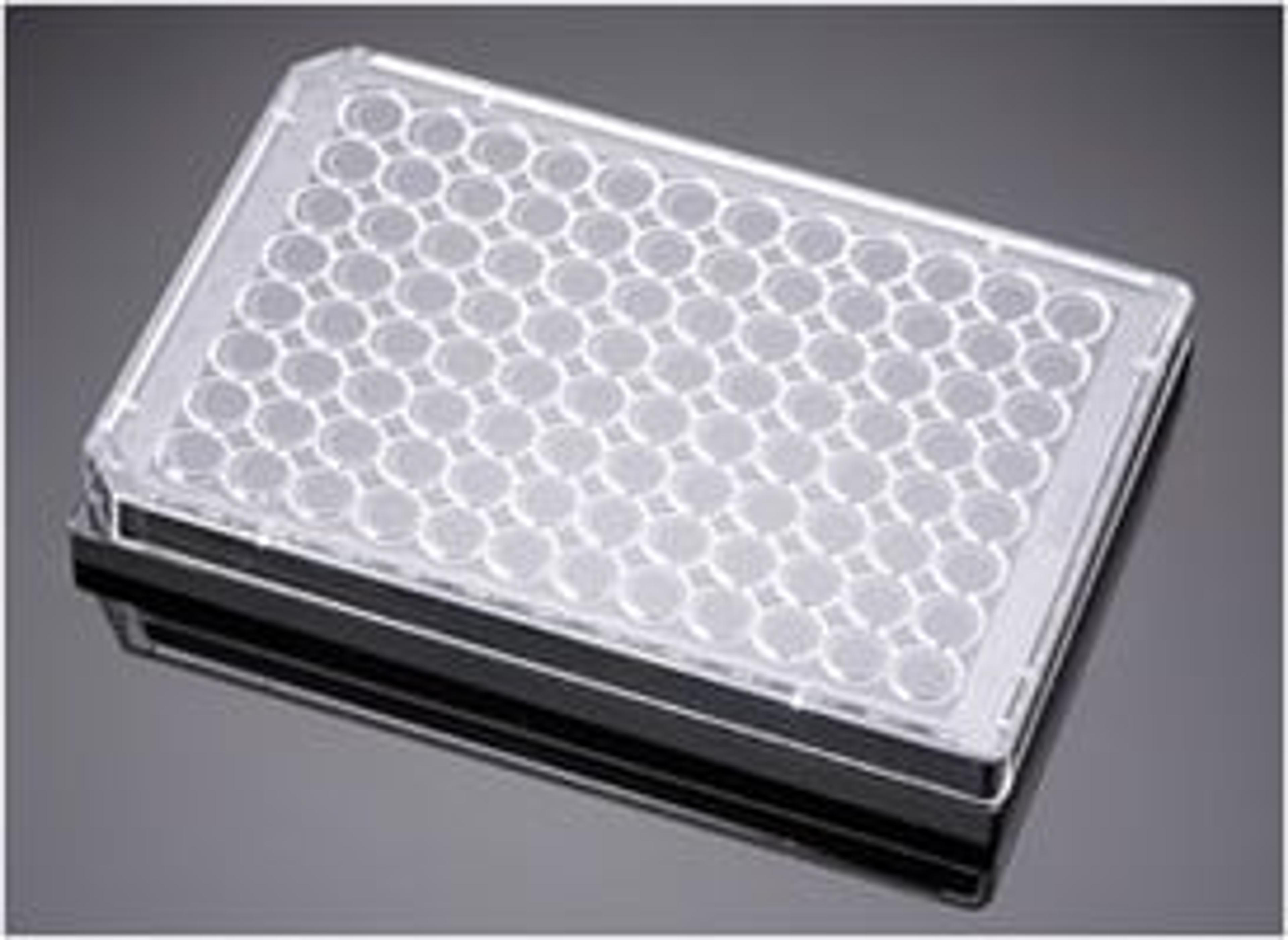 Corning® BioCoat™ Angiogenesis System: Endothelial Cell Tube Formation, 96-well Black Multiwell Microplate, 1/Case - Corning Life Sciences - Life Sciences